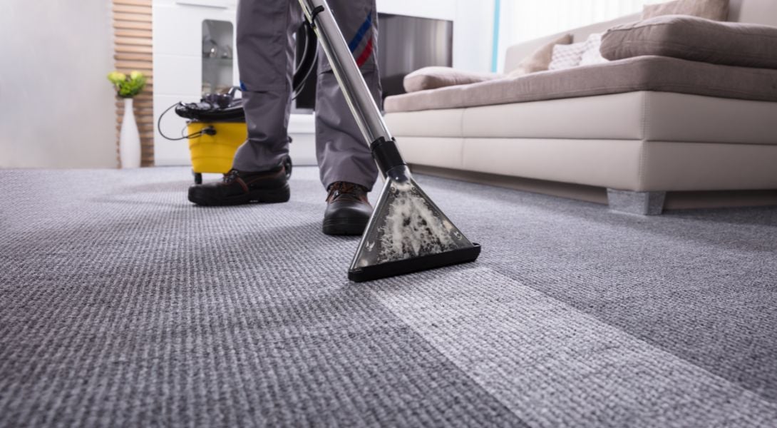 2 Carpet cleaner on grey carpet image
