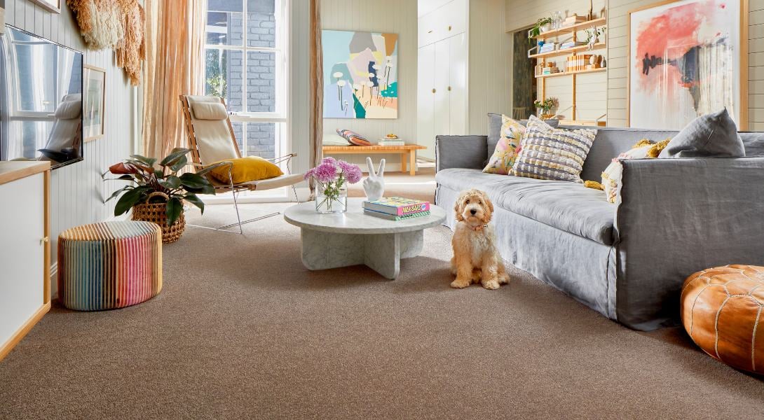 8 Living room with dog and carpet, pet friendly flooring
