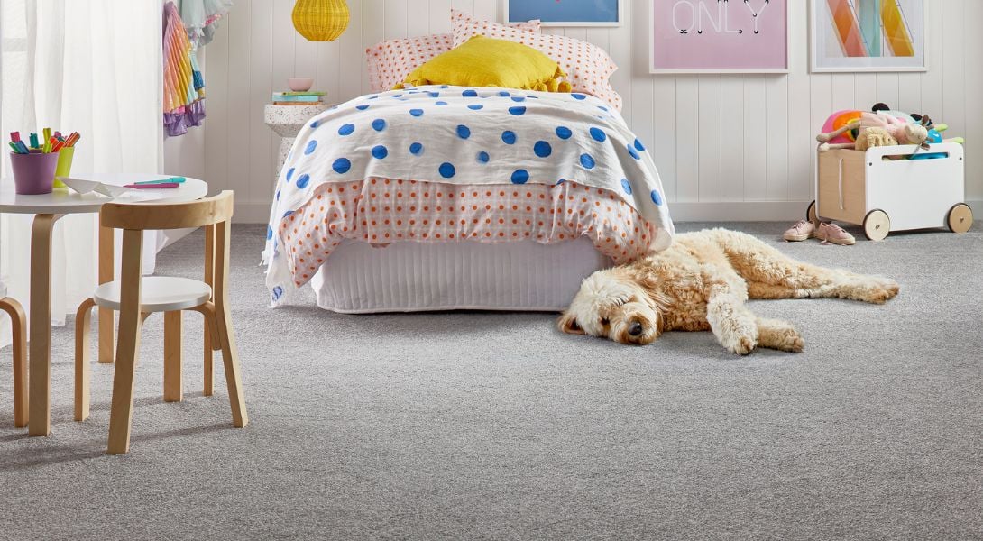 9 Redbook Green Dog Child Bedroom Carpet Scenic View