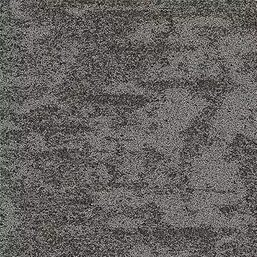 Bark_Community-Bark 2