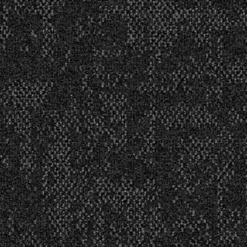 Curious_Path-Speculative 6