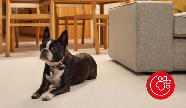 GH_Triexta_product_training.pdf (10)