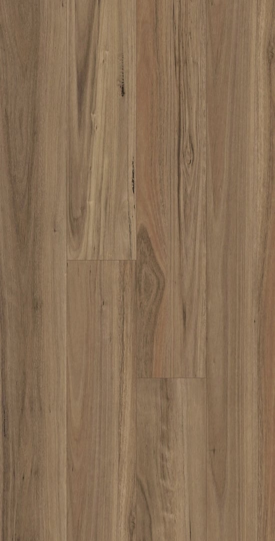 Hybrid-Blackbutt 9
