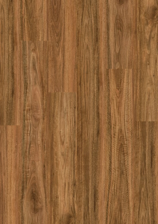 Hybrid-Spotted_Gum 10