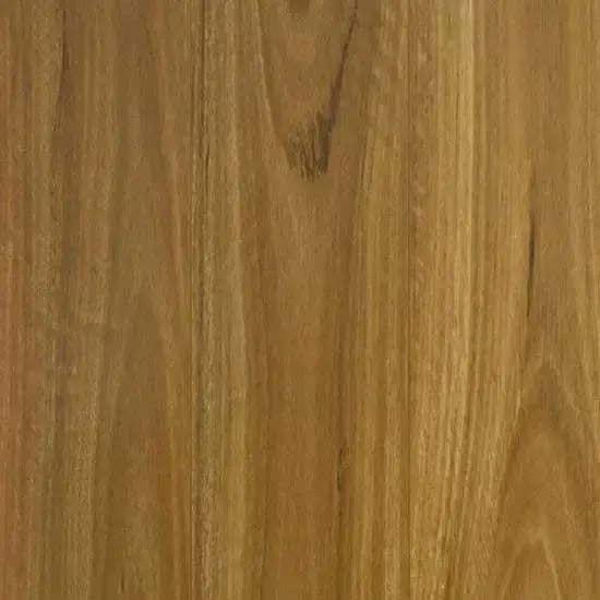 Gencore+-Bushland_Spotted_Gum 12