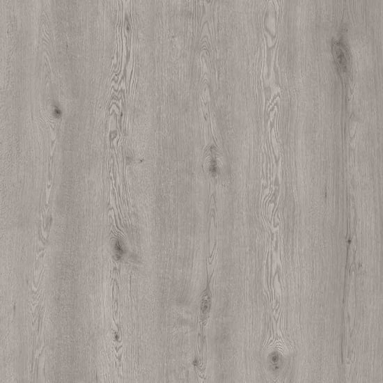 Legacy1200-Evening-Haze 2