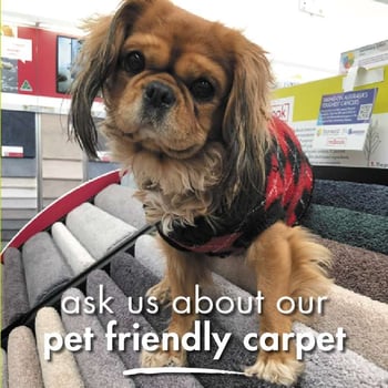 Camden Valley Pet Friendly POS