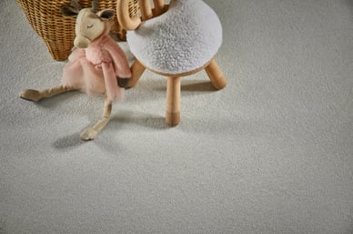 Carpet Flooring Product Image