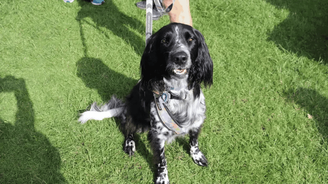 Unite for Hope Event