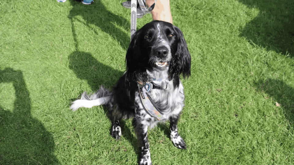 Unite for Hope Event