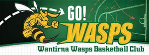 Wantirna wasps