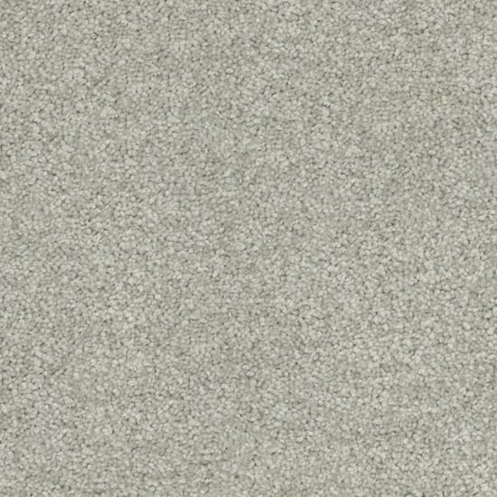 Freedom-Oyster_Shell 9