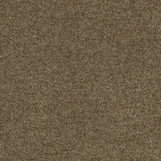 Freedom-Palm_Sugar 21