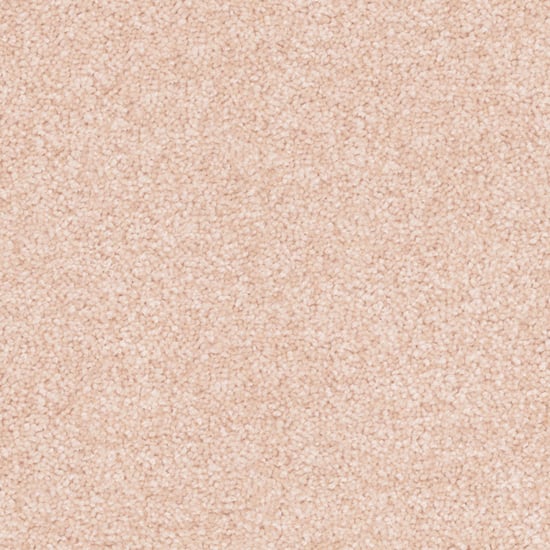 Freedom-Waxflower 12