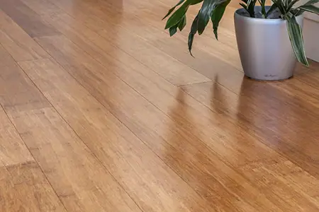 Clever Choice - Bamboo Flooring