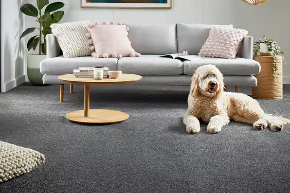 RedbookGreen Carpet