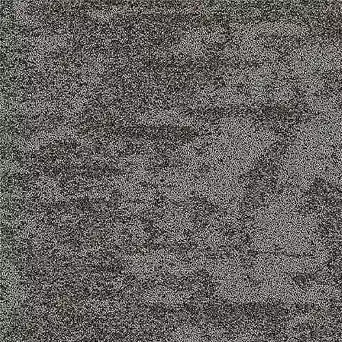 Bark_Community-Bark 2
