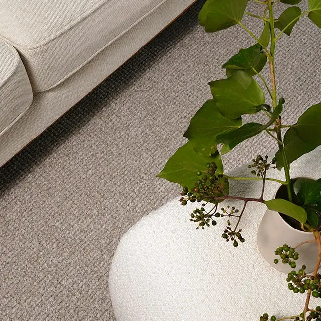 EC Carpets