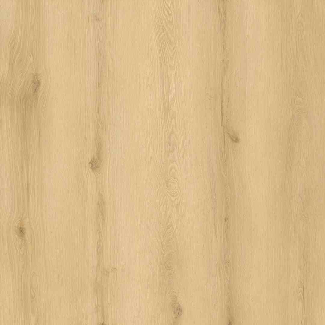 Legacy1200-Amber-Glow 8