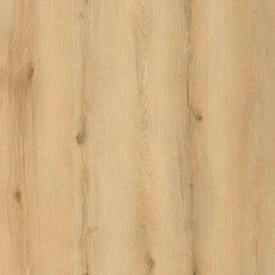 Legacy1200-Sunset-Birch 6