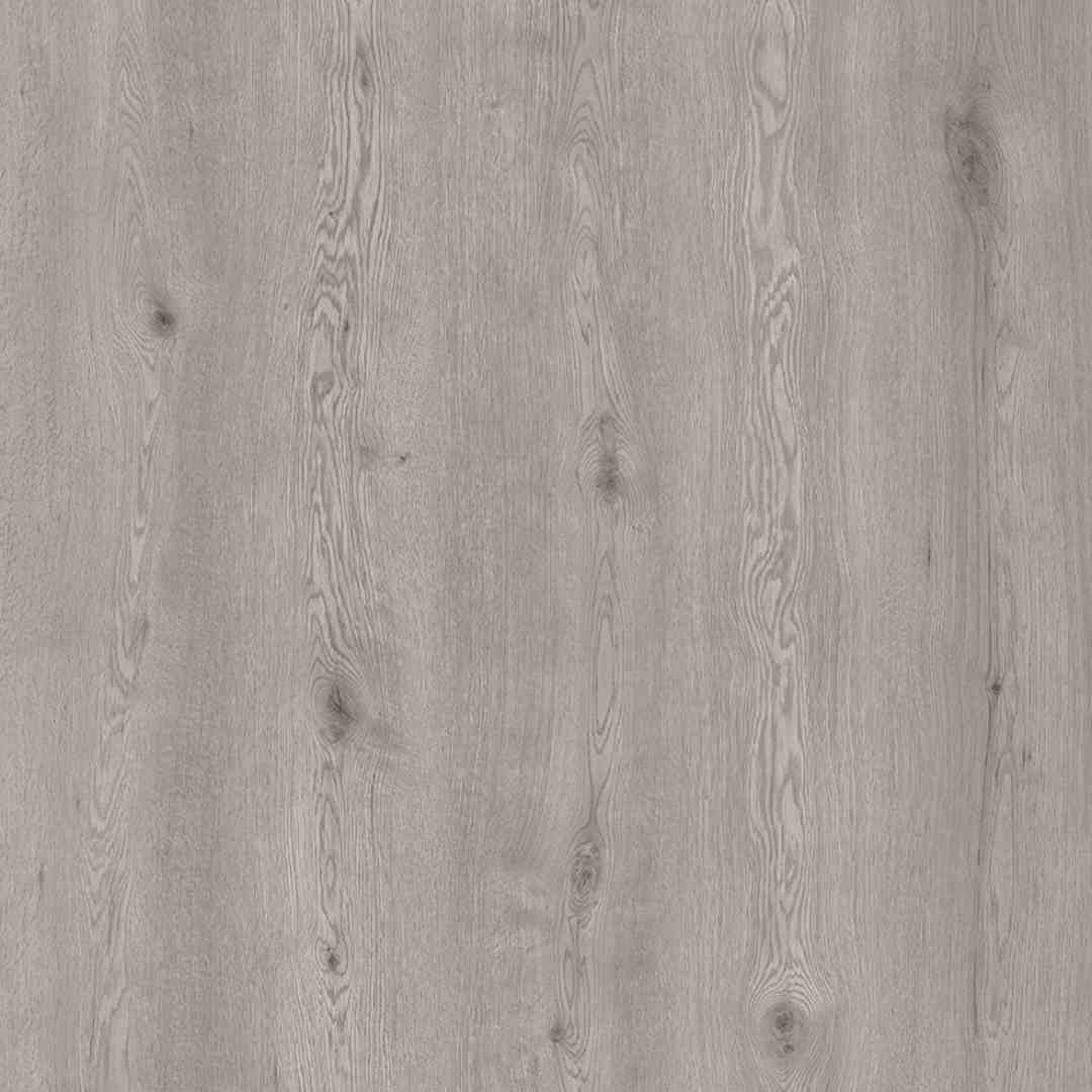 Legacy1200-Evening-Haze 2