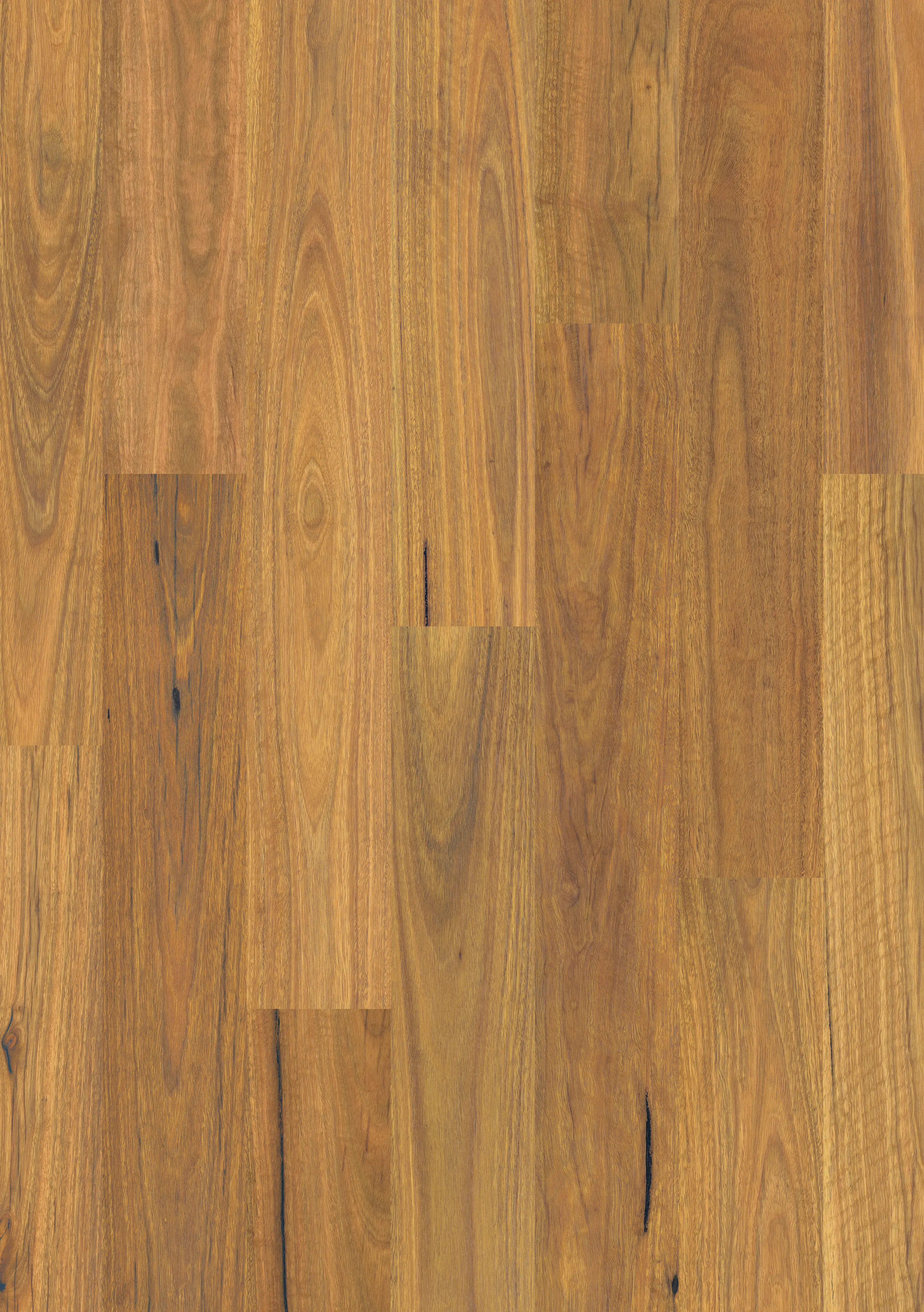 Eligna-Spotted_Gum 9
